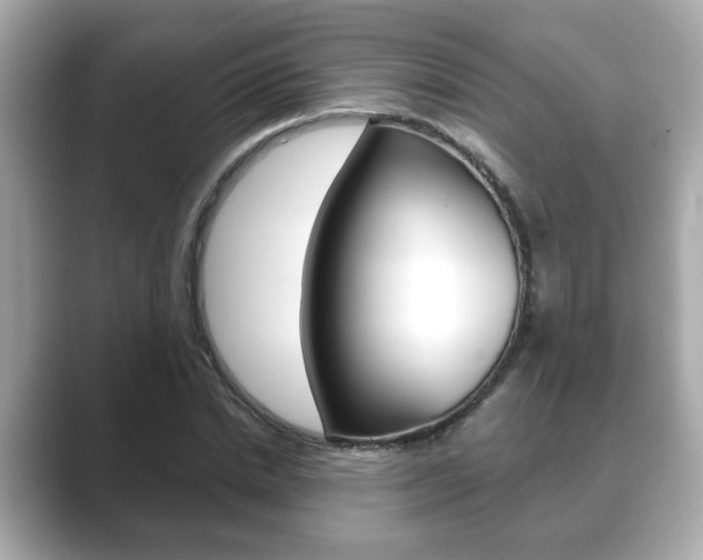 X0000089740830200706210902