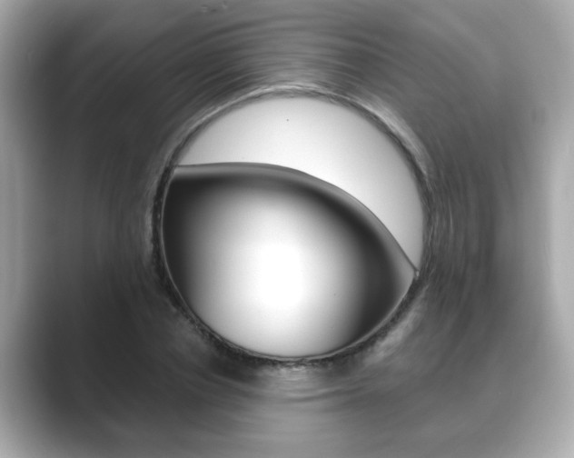X0000089740834200706210902