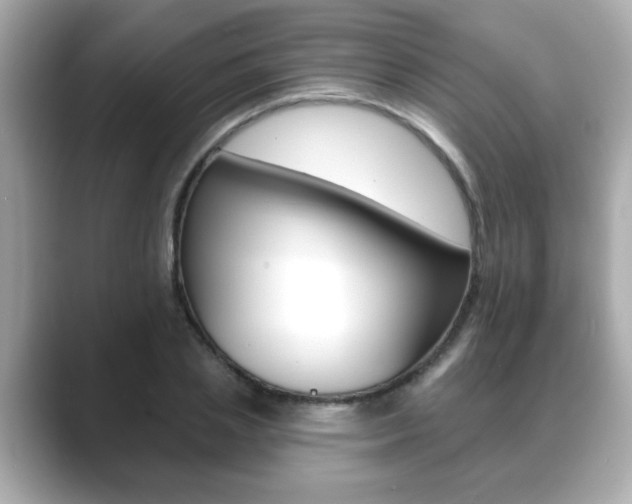 X0000089740837200706210902
