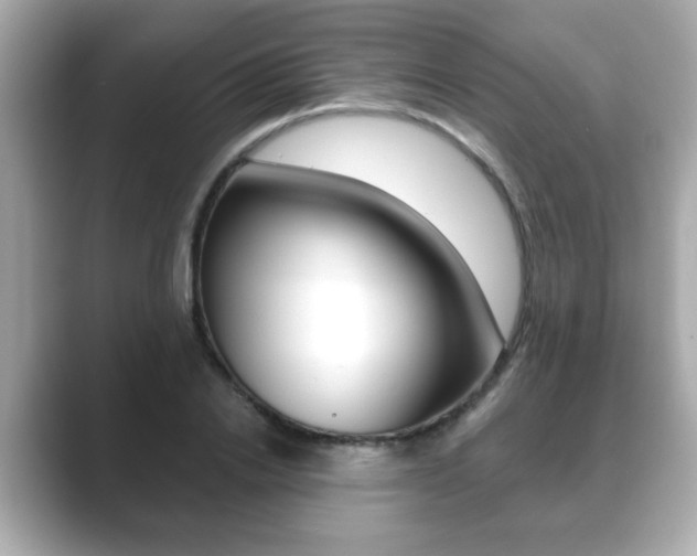 X0000089740838200706210902