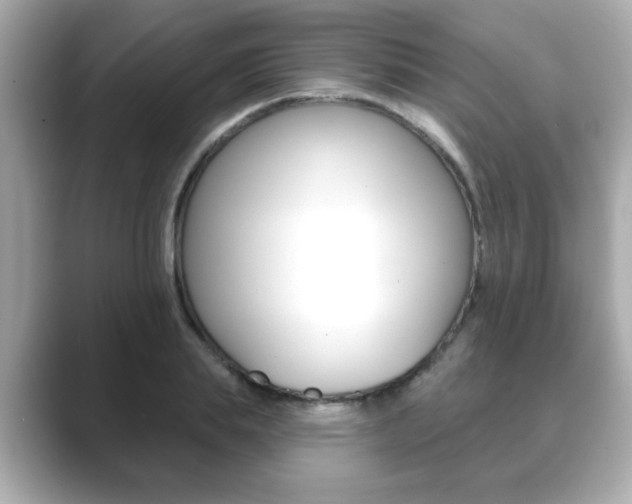 X0000089740839200706210902