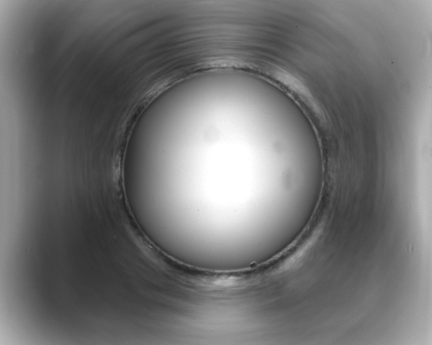 X0000089740841200706210902