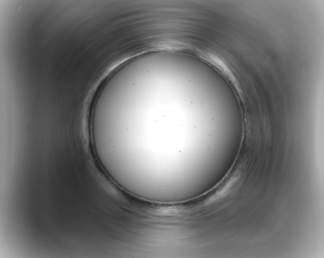 X0000089740843200706210902