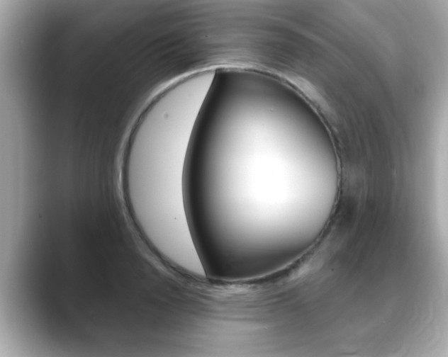 X0000089740846200706210902