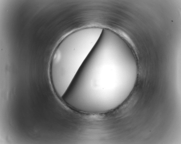 X0000089740847200706210902