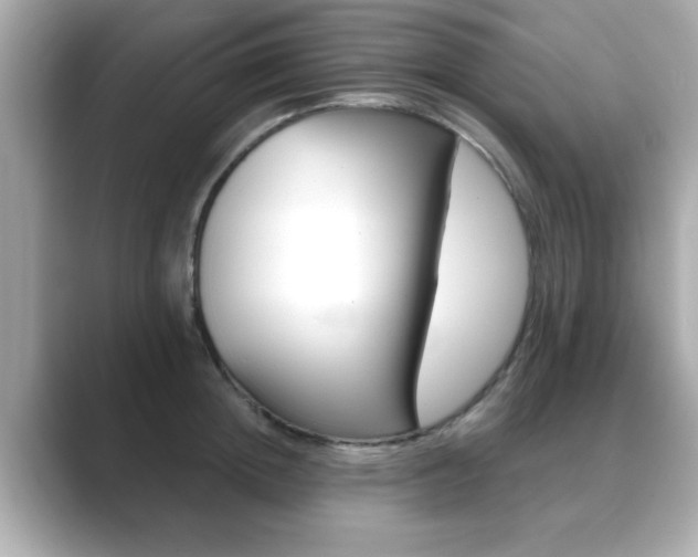 X0000089740852200706210902