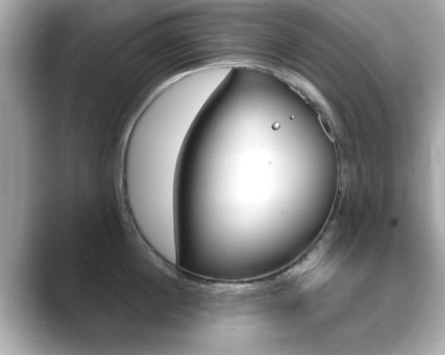 X0000089740860200706210902