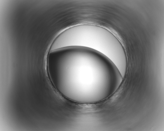 X0000089740862200706210902