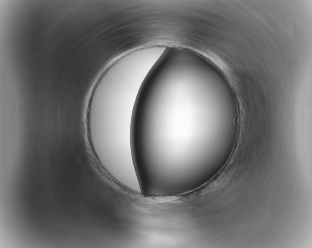 X0000089740864200706210902