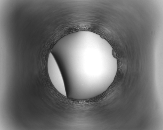 X0000089740866200706210902