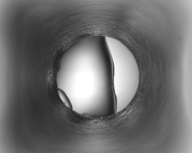 X0000089740867200706210902