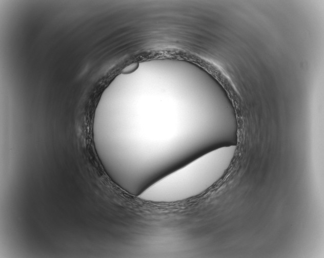 X0000089740871200706210902