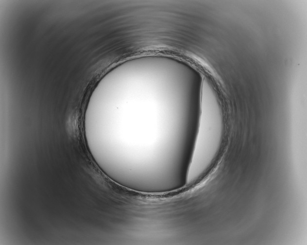 X0000089740873200706210902