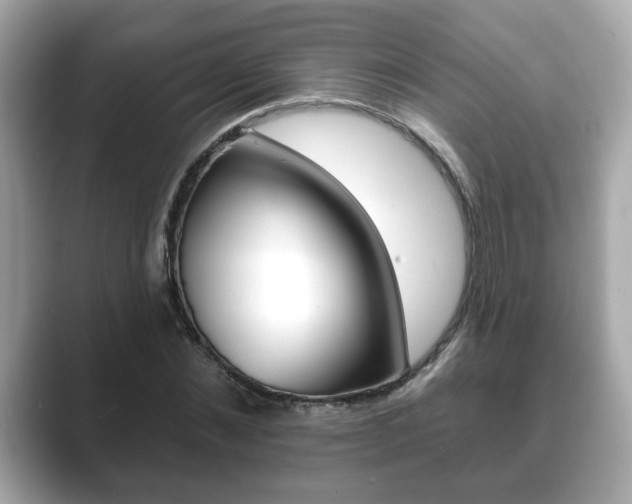 X0000089740876200706210902