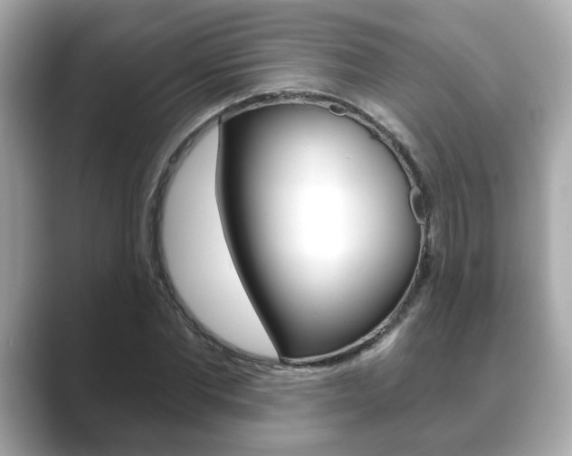 X0000089740877200706210902