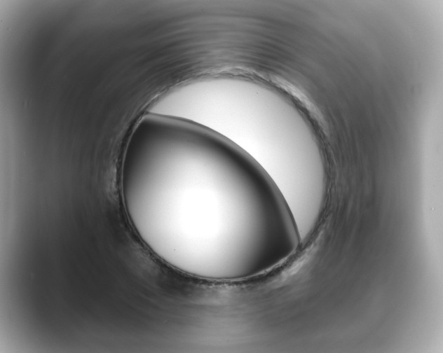 X0000089740881200706210902