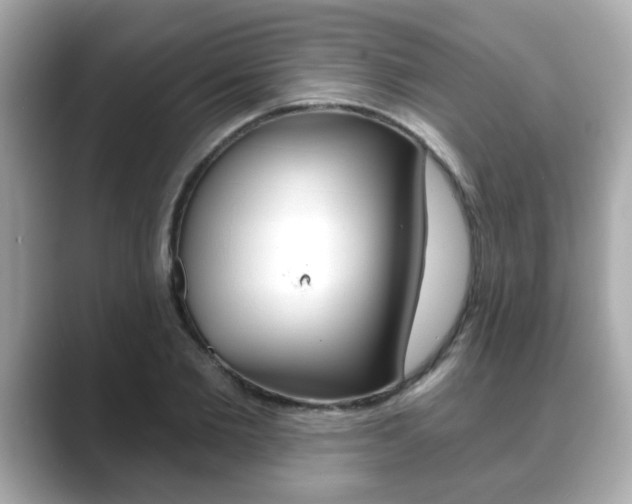 X0000089740885200706210902