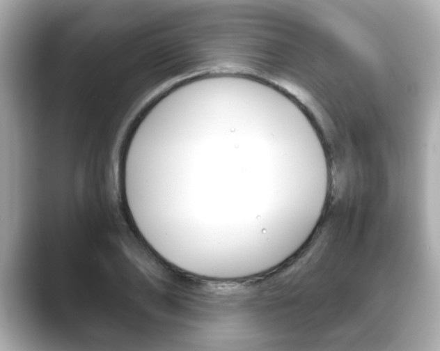 X0000089740886200706210902