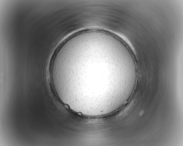 X0000089740887200706210902