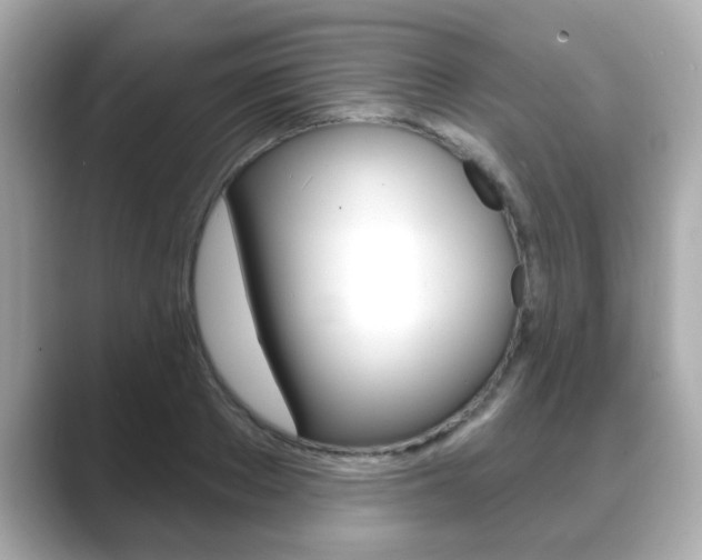X0000089740889200706210901