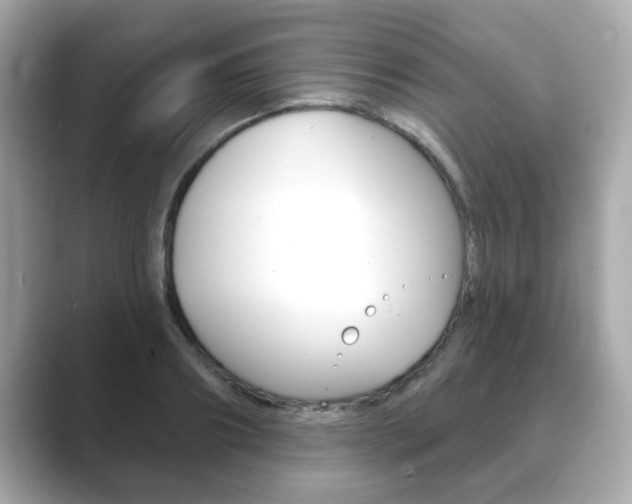 X0000089740890200706210901