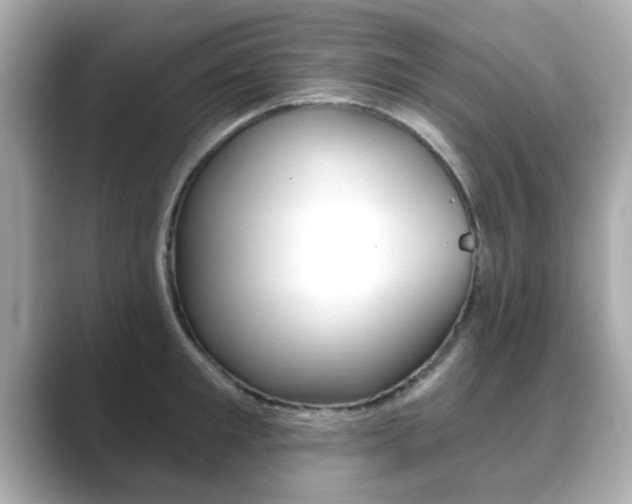 X0000089740901200706210901
