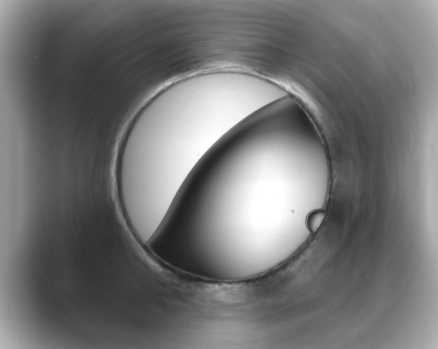 X0000089740902200706210901
