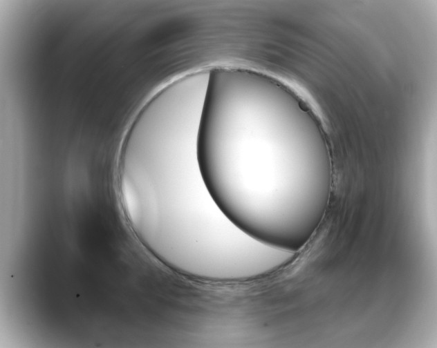 X0000089740903200706210901