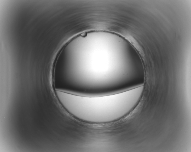 X0000089740904200706210901