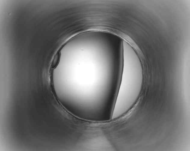 X0000089740908200706210901