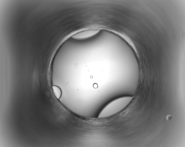 X0000089740911200706210901