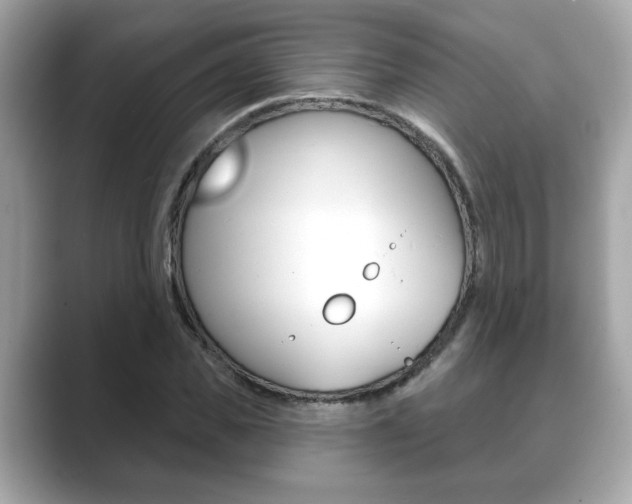 X0000089740925200706210901