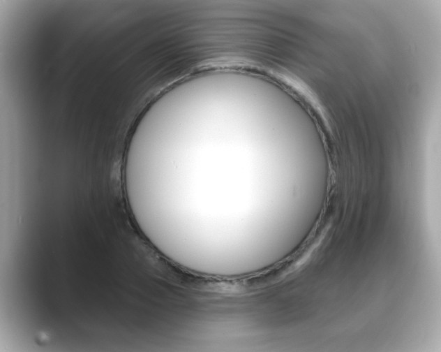 X0000089740937200706210901