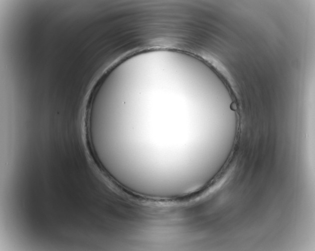 X0000089740941200706210901