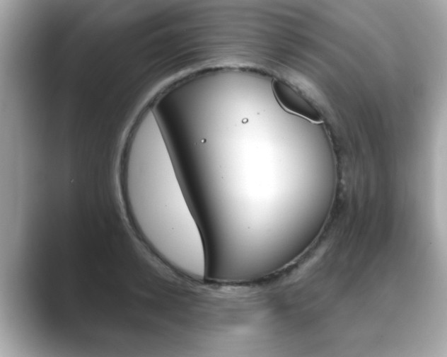 X0000089740942200706210901