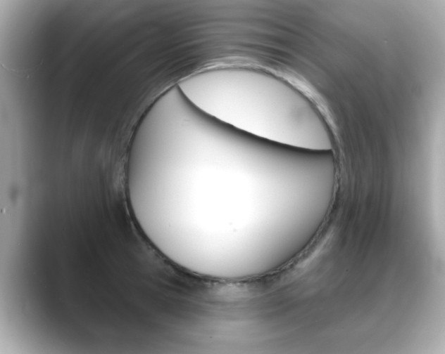 X0000089740945200706210901