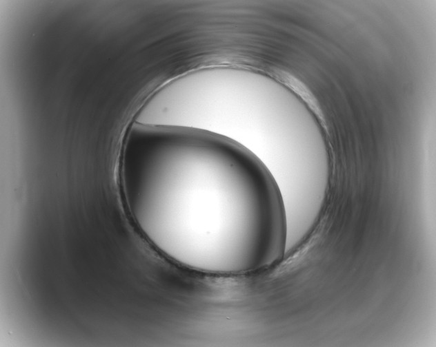 X0000089740946200706210901