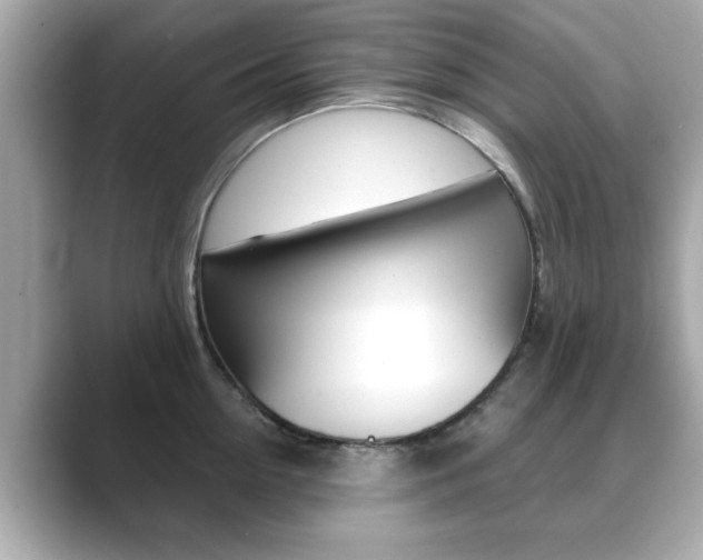 X0000089740954200706210901