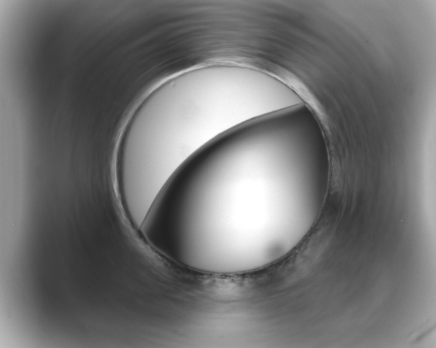 X0000089740955200706210901