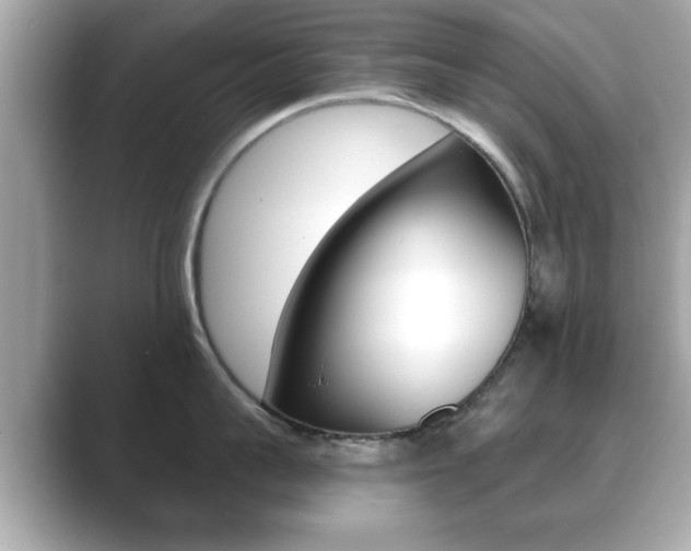 X0000089740959200706210901