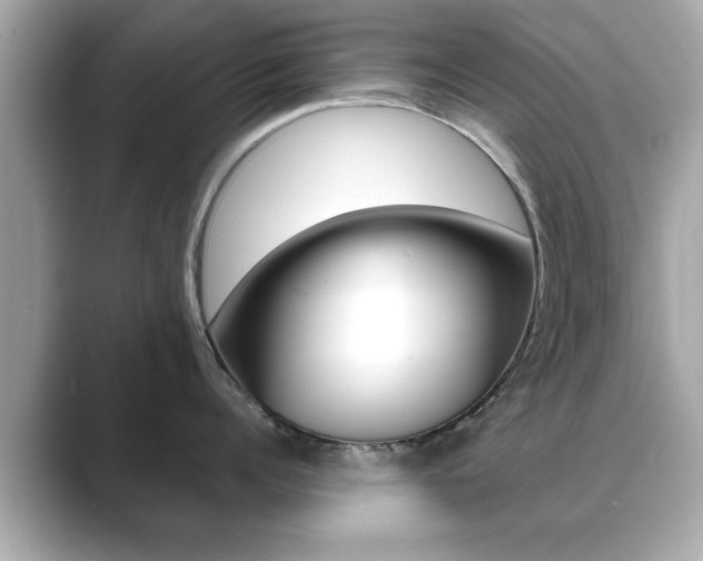 X0000089740960200706210901