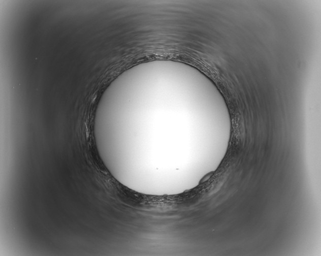 X0000089740962200706210901
