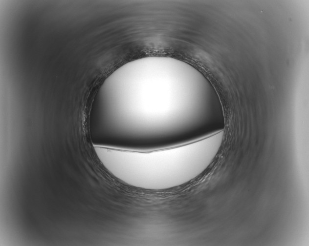 X0000089740964200706210901