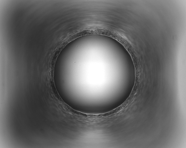 X0000089740965200706210900