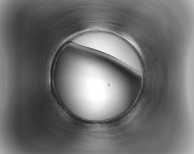 X0000089740980200706210900