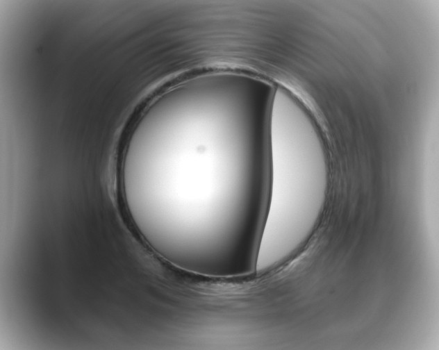 X0000089740984200706210900