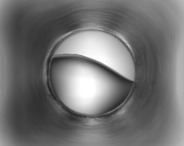 X0000089740987200706210900