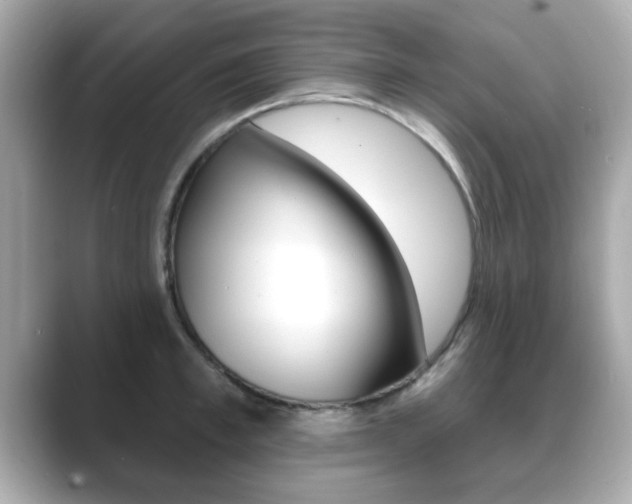 X0000089740997200706210900