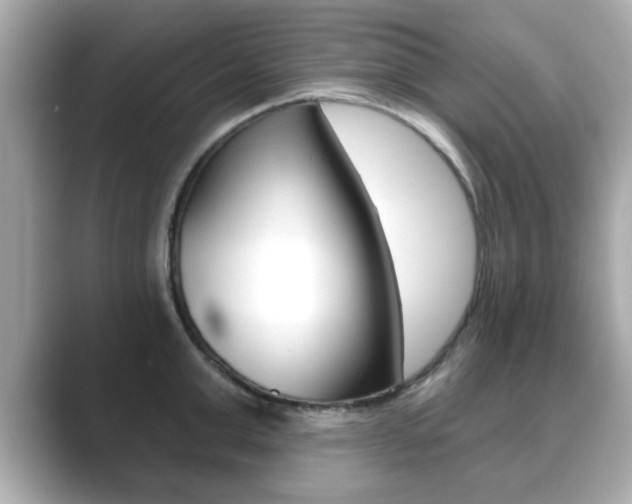 X0000089740999200706210900