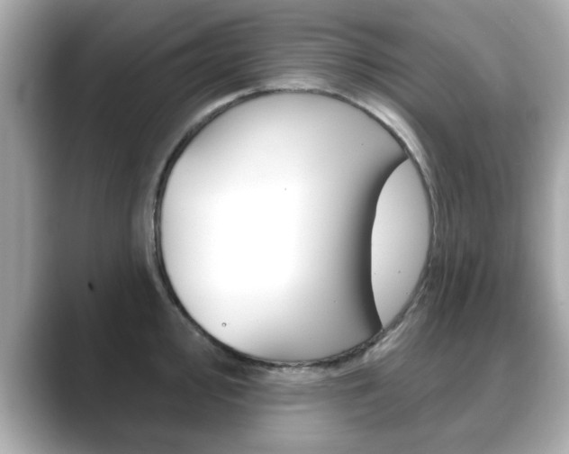 X0000089741000200706210900